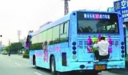 美媒爆料公交车事件视频,公交车事件视频引发社会关注